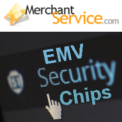 EMV Security Chips